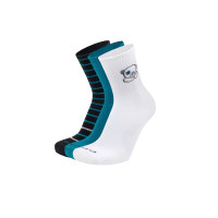 Шкарпетки дитячі набір з 3-х пар демісезонні з бавовни DUNA 1569