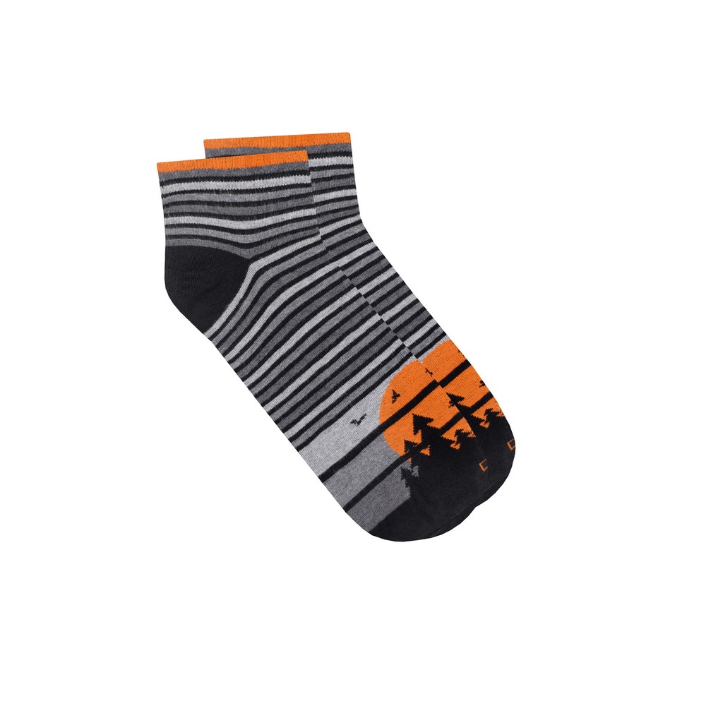 Носки мужские "Туризм" демисезонные DUNA 2268