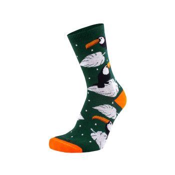 Носки женские демисезонные хлопчатобумажные DUNA 3081