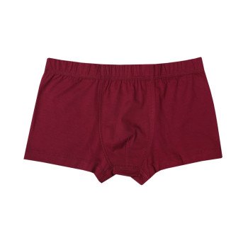 Трусы боксеры для мальчика DUNA 6031