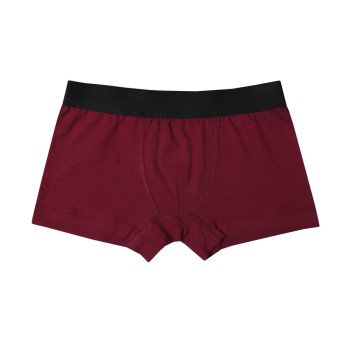 Труси боксери для хлопчика (нашивна резинка) DUNA 6033