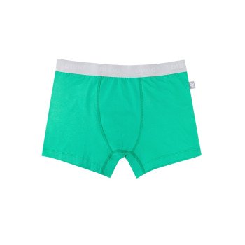 Труси боксери подовженні чоловічі DUNA 6074