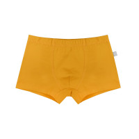 Трусы боксеры для мальчика DUNA 6543