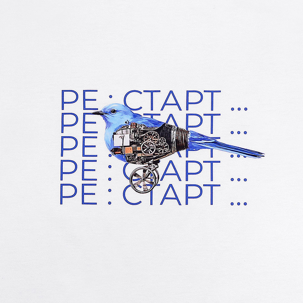 Футболка мужская «Рестарт» DUNA 6632