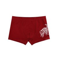 Труси боксери дитячі «Смугастий Кіт» DUNA 6717